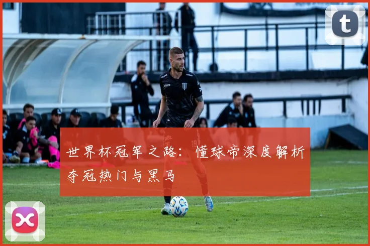世界杯冠军之路：懂球帝深度解析夺冠热门与黑马