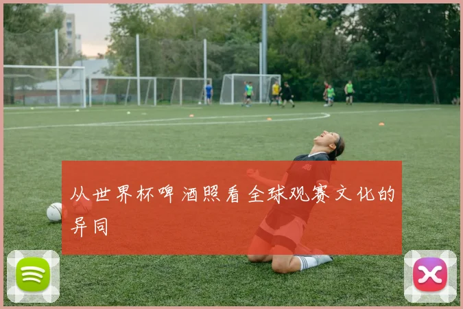 从世界杯啤酒照看全球观赛文化的异同