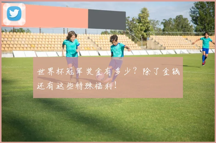 世界杯冠军奖金有多少？除了金钱还有这些特殊福利！