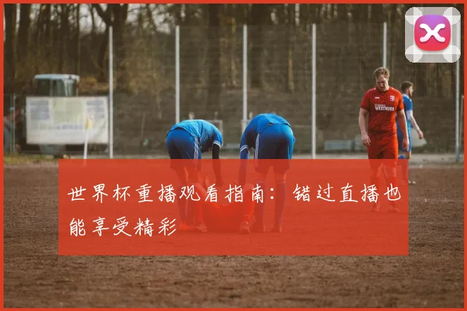 世界杯重播观看指南：错过直播也能享受精彩