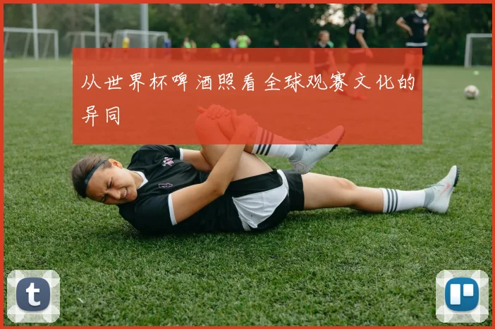 从世界杯啤酒照看全球观赛文化的异同