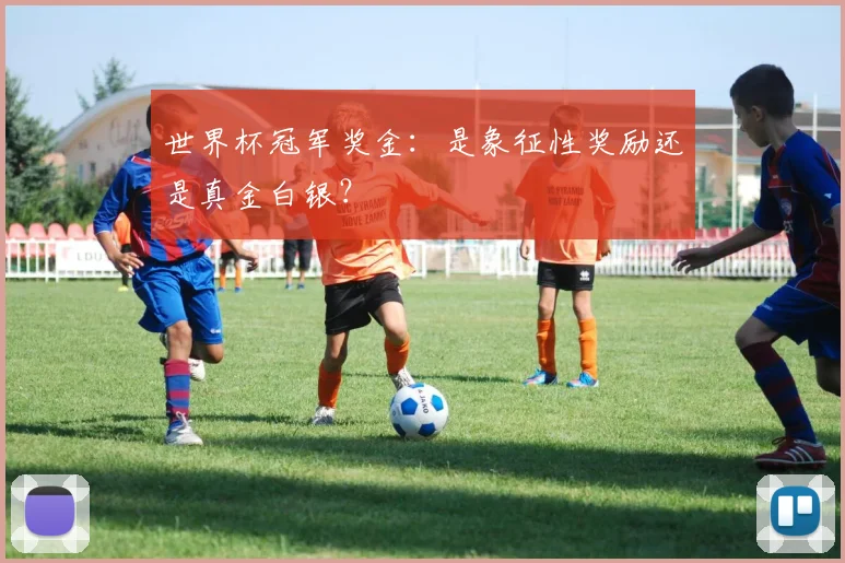 世界杯冠军奖金：是象征性奖励还是真金白银？