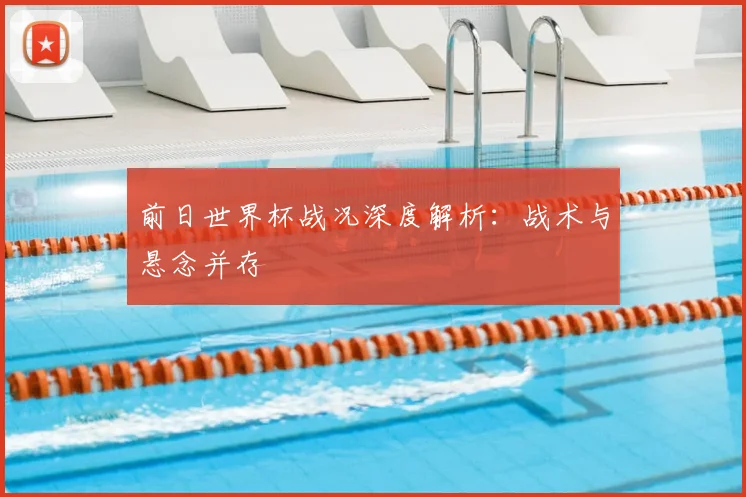 前日世界杯战况深度解析：战术与悬念并存