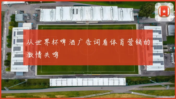 从世界杯啤酒广告词看体育营销的激情共鸣