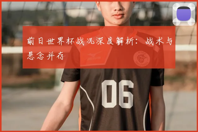 前日世界杯战况深度解析：战术与悬念并存