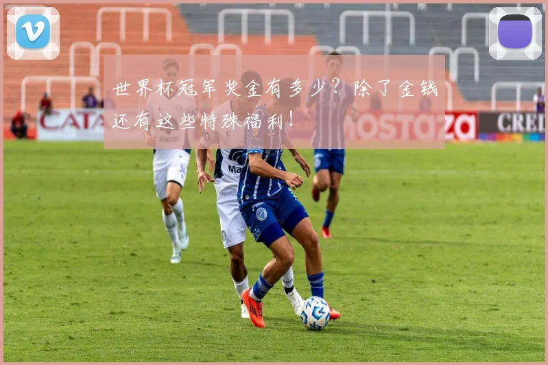 世界杯冠军奖金有多少?除了金钱还有这些特殊福利!